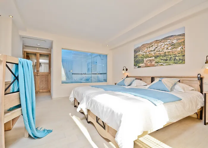 Naxos Island Hotel